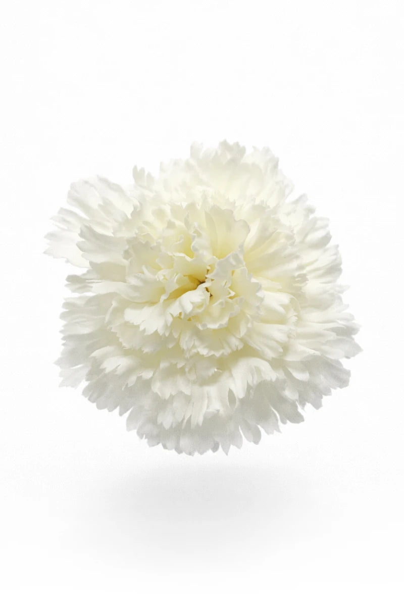 White Flamenco Carnation Hair Flower