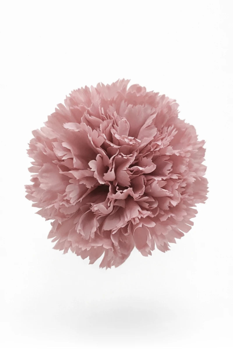 Blush Pink Flamenco Carnation Hair Flower